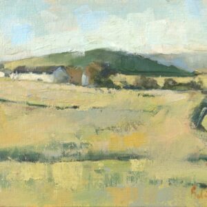 Kories View, Koringberg